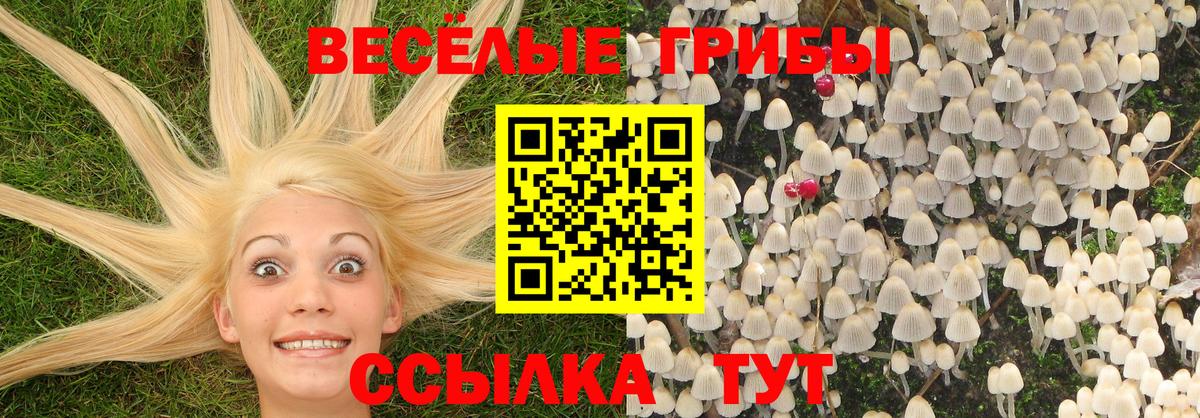 Лениногорск  Галлюциногенные грибы мицелий  Вход с VPN  Галлюциногенные грибы Cubensis 